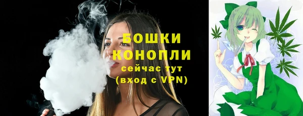 не бодяженный Заводоуковск