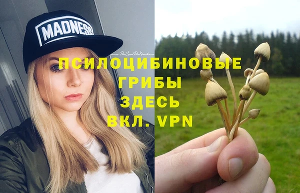 не бодяженный Заводоуковск