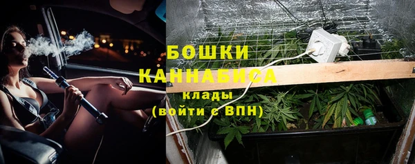 не бодяженный Заводоуковск