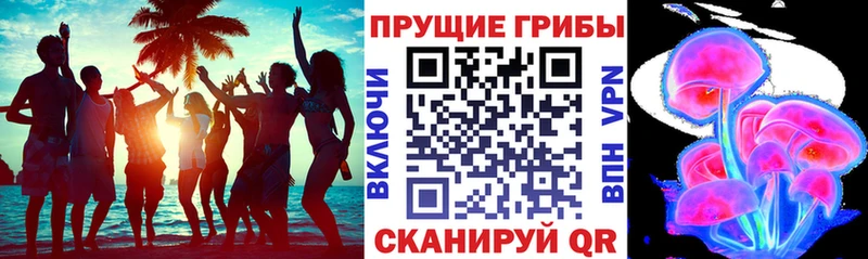 Псилоцибиновые грибы мухоморы Северобайкальск