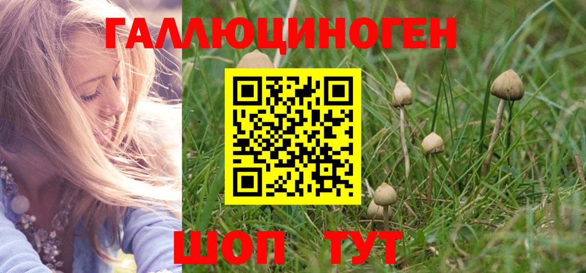 Галлюциногенные грибы GOLDEN TEACHER  Вход с VPN  Северобайкальск  Псилоцибиновые грибы Psilocybine cubensis 