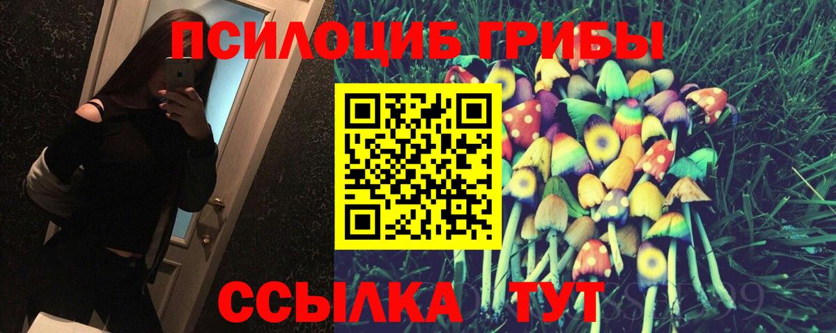 Псилоцибиновые грибы Magic Shrooms Северобайкальск